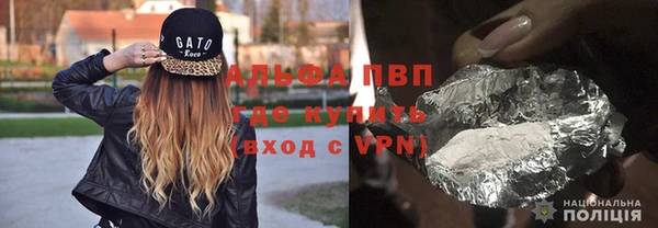 шишки Богородицк