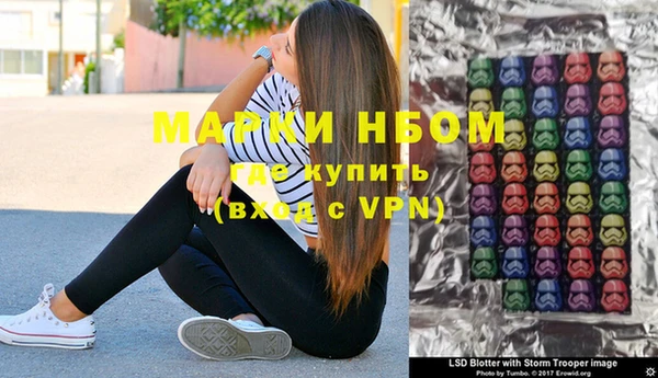 шишки Богородицк