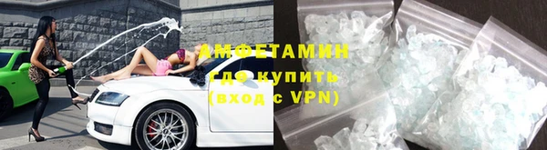 шишки Богородицк