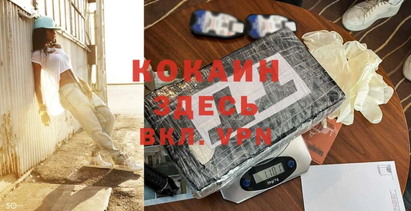 шишки Богородицк