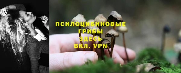 меф Богданович