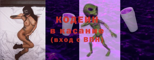 шишки Богородицк
