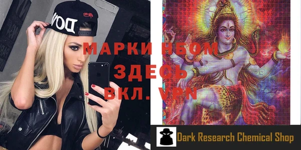 шишки Богородицк
