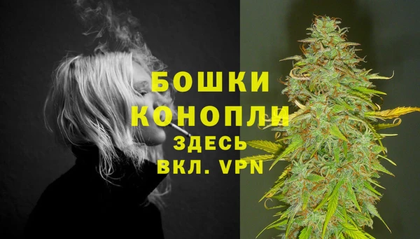 шишки Богородицк