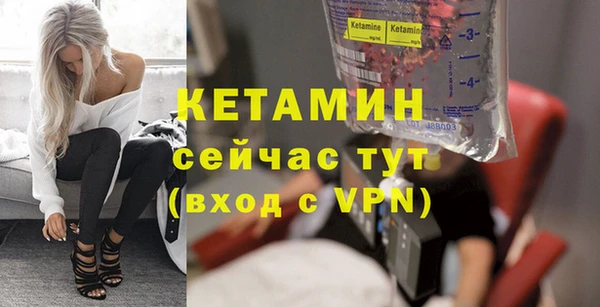 шишки Богородицк