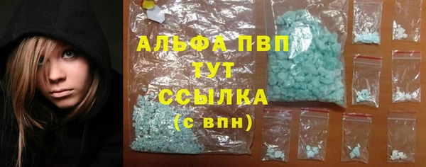 шишки Богородицк
