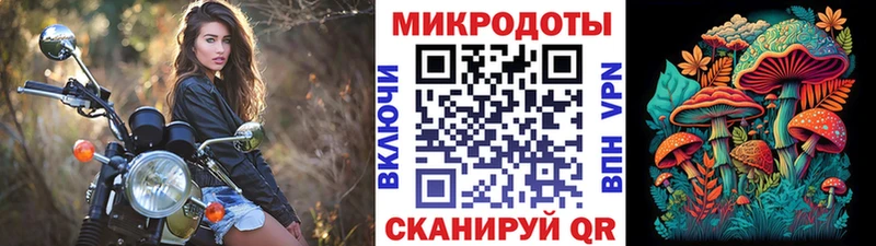 Псилоцибиновые грибы Psilocybe  Купить где  Колпашево 